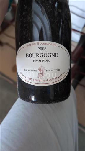 Borgogna Domaine Coste-Caumartin 2006