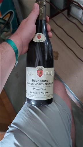 Bourgogne Hautes Côtes de nuits Domaine Nudant 2009