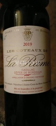Bordeaux Cadillac-côtes-de-bordeaux Les Coteaux de La Rame 2019