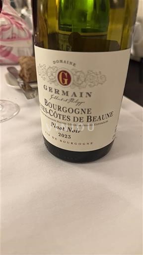 Borgogna Hautes Côtes de Beaune Domaine Germain 2023