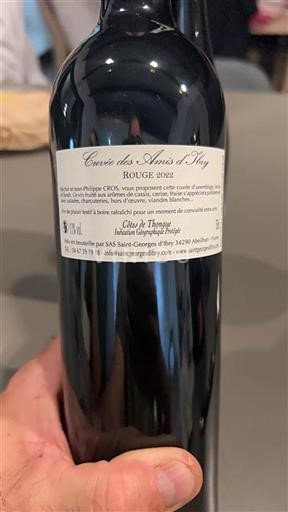 Linguadoca e Rossiglione Côtes de Thongue Cuvée des Amis Ibry 2022