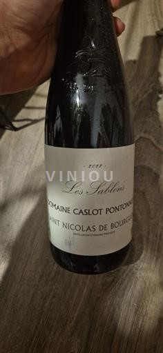 Valle della Loira Saint-Nicolas-De-Bourgueil Domaine Caslot Pontonnier Les Sablons 2022