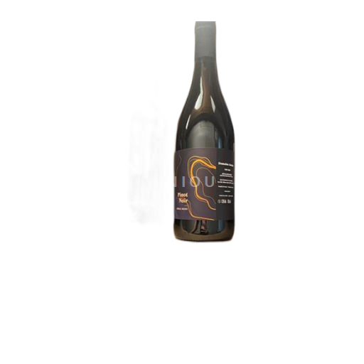 Languedoc a Roussillon Cité de Carcassonne Domaine Auzias Pinot noir Neročník