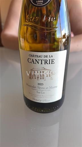 Valle della Loira Muscadet Sèvre et Maine Château La Cantrie 2023