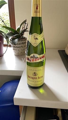 Alsace Unspecified Jacques Iltis 2022