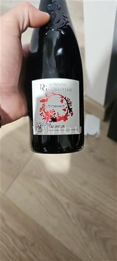 Valle della Loira Saumur Domaine La Guilloterie L'étonnante 2021