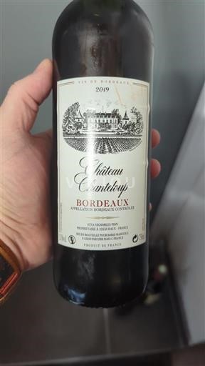 Bordeaux Château Chanteloup 2019