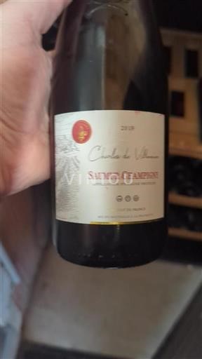 Valle della Loira Saumur-Champigny Charles de Villeneuve 2019