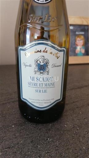 Valle della Loira Muscadet Sèvre et Maine Domaine La Ché 2023