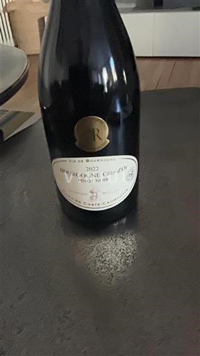 Borgogna Borgogna Côte d'Or Domaine Coste-Caumartin 2022