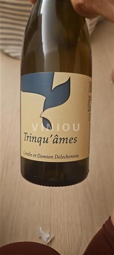 Valle della Loira Non specificato Clos du Tue-Boeuf Trinqu'âmes 2024