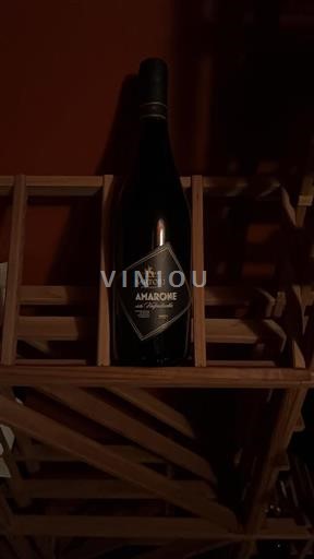 Veneto Amarone della Valpolicella Sartori di Verona 2021