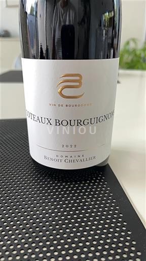 Borgogna Coteaux borgognoni Domaine Benoit Chevallier 2022