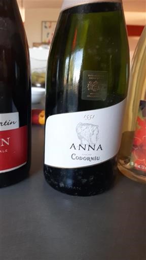 Cataluña Cava Codorníu Anna Sin añada