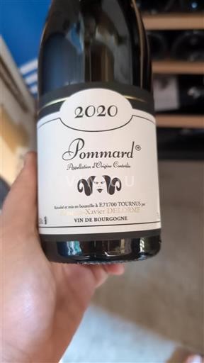 Borgogna Pommard François-Xavier Delorme 2020