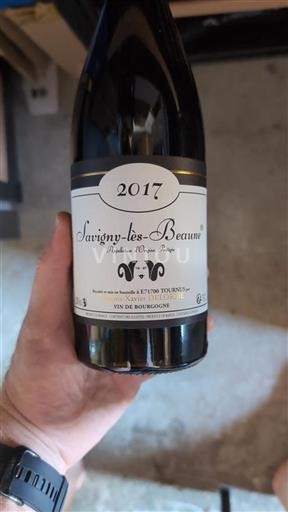 Borgogna Savigny-lès-Beaune François-Xavier Delorme 2017