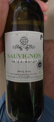 Linguadoca e Rossiglione Paese d'Oc Jean de Rochebrune Sauvignon fin et aromatique Senza annata