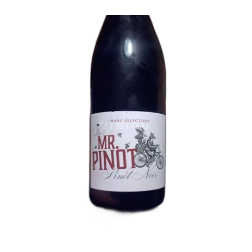Non specificato Saint Nicolas de Bourgueil 2023 Senza annata