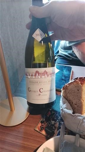 Bourgogne Gevrey-chambertin Domaine Michel Gros La Platière 2022
