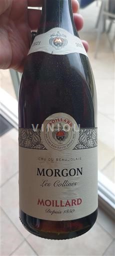 Beaujolais Morgon Moillard Les Collines 2021