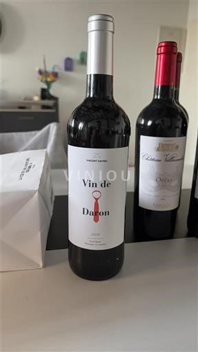 Sudoeste Não especificado Vincent Gayrel Vin de Daron 2020
