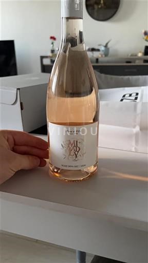Loire Valley Not Specified Plou et Fils Milady 2024