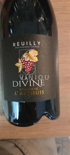 Valle della Loira Reuilly Domaine L'Arthuis La Divine 2022