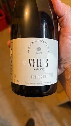 Lorraine Mosel Vallis 2019