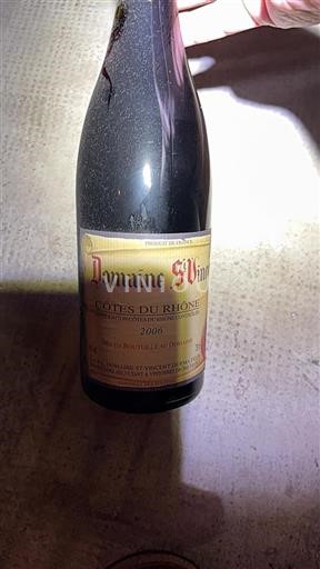 Údolí Rhôny Côtes-du-Rhône Domaine St Vincent 2006