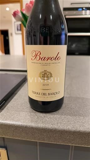 Piemonte Barolo Terre del Barolo 2019