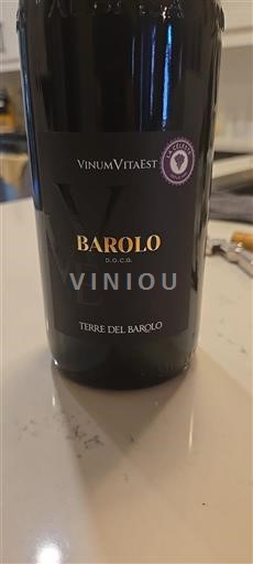 Piemonte Barolo Terre del Barolo 2019