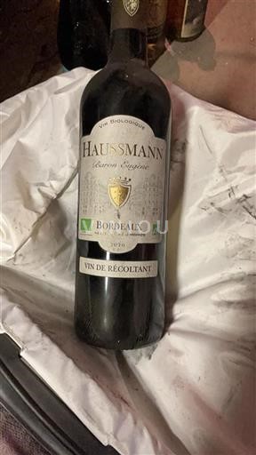 Bordeaux Haussmann Baron Eugène 2020