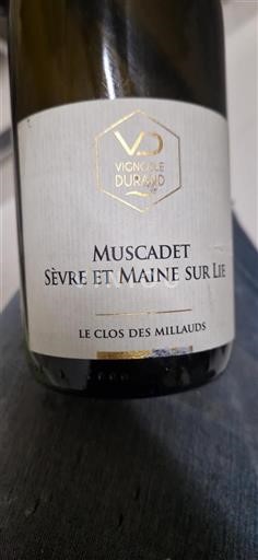 Valle della Loira Muscadet Sèvre et Maine Vignoble Durand Le Clos des Millauds 2023