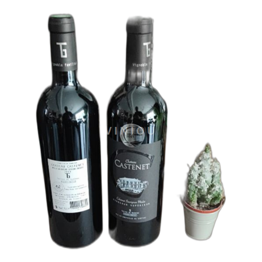 Bordeaux Bordeaux supérieur Castenet 2019