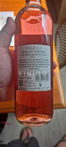 Veneto Määrittelemätön Viverello 2023