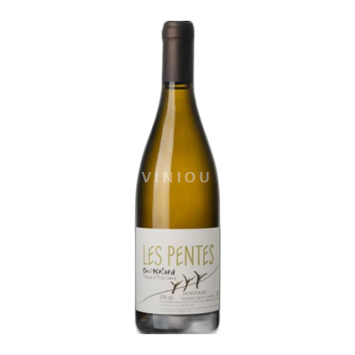 Vallée de la Loire Saumur Clos de l'Écotard Les Pentes 2021