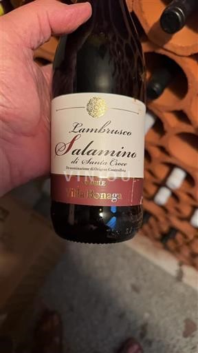 Emilia-Romagna Non specificato Villa Bonaga 2019