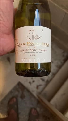 Valle della Loira Muscadet Sèvre et Maine Domaine Moulin de Serjeux 2021