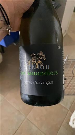 Údolí Loiry Côtes d'Auvergne Les Amandiers 2024