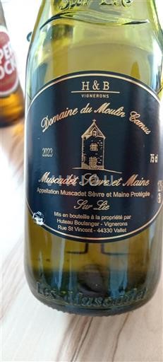 Vallée de la Loire Muscadet-sèvre-et-maine Domaine Moulin Camus Sur Lie 2020