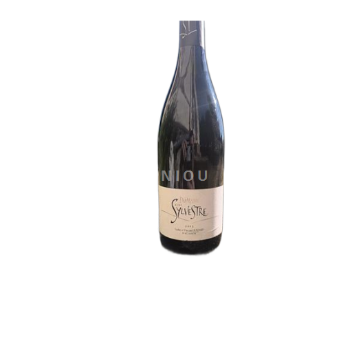 Languedoc Domaine Saint Sylvestre 2013