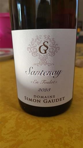 Bourgogne Santenay Domaine Simon Gaudet En Foulois 2023