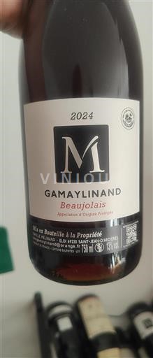 Beaujolais Gamaylinand 2024