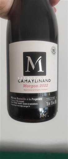 Beaujolais Morgon Famille Mélinand 2022