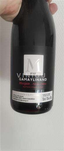 Beaujolais Morgon Gamaylinand Fût de Chêne 2022