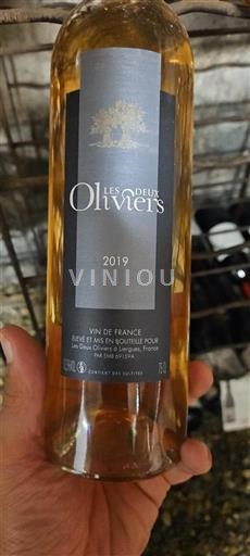 Linguadoca e Rossiglione Paese d'Oc Les Oliviers 2019