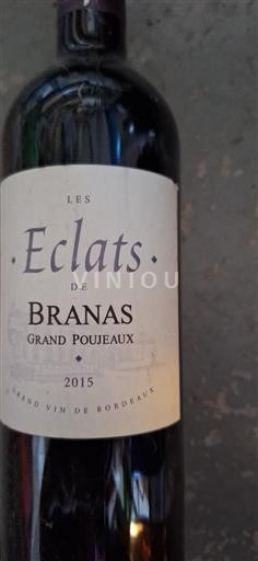 Vin Rouge sec Les Eclats Château Branas Grand Poujeaux 2015 France Bordeaux Moulis-en-Médoc AOC