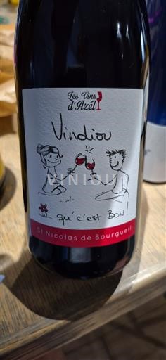 Vallée de la Loire Saint-Nicolas-De-Bourgueil Les Vins Azel Vindinou 2023