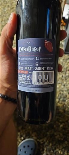Sudoeste Côtes de Gascogne Le Fruit du Bœuf 2022