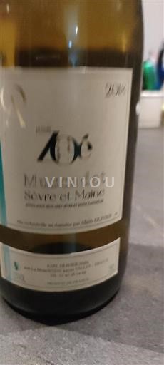 Valle della Loira Muscadet Sèvre et Maine Domaine Alain Olivier 2018